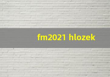 fm2021 hlozek